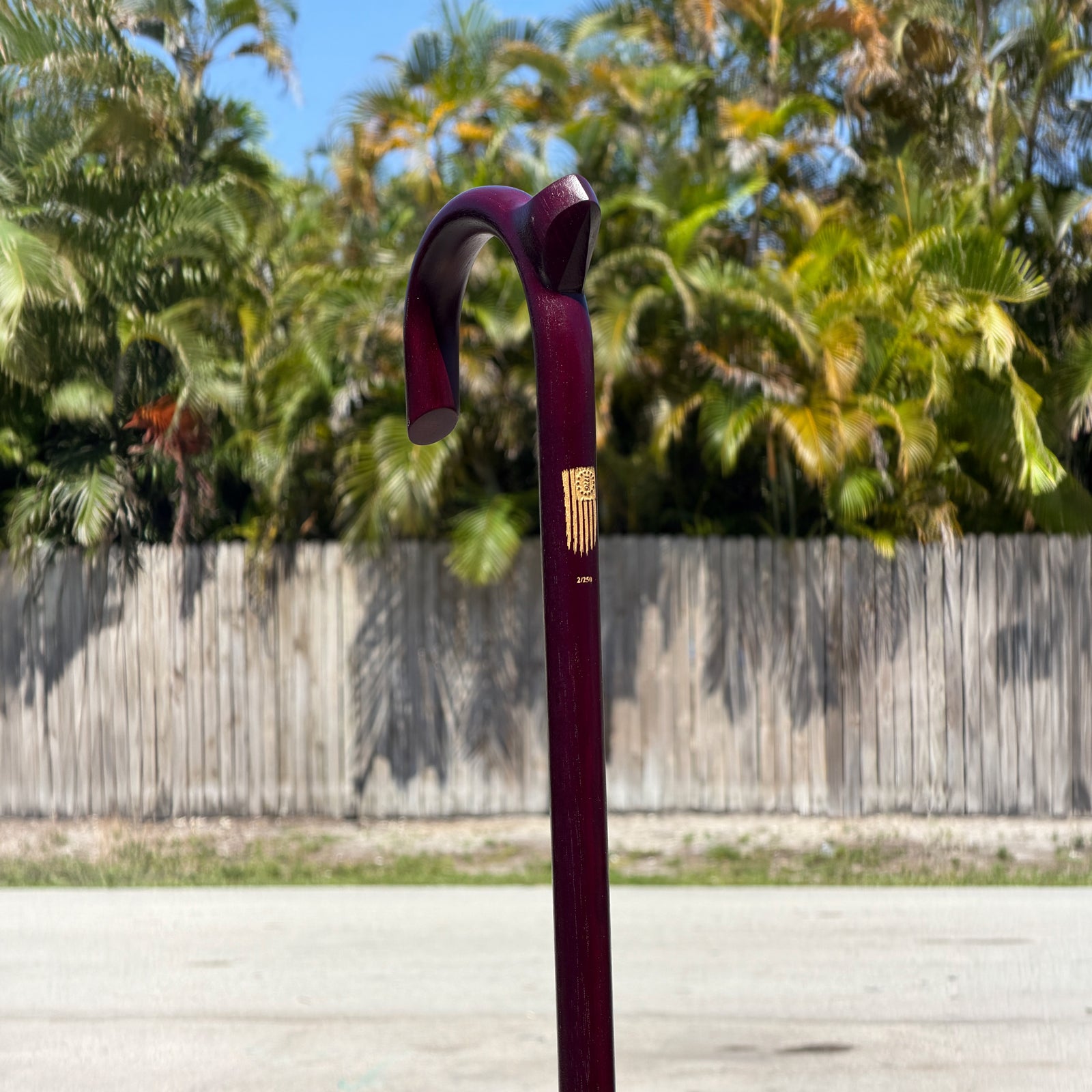 The USA 250 Collection — Limited Edition