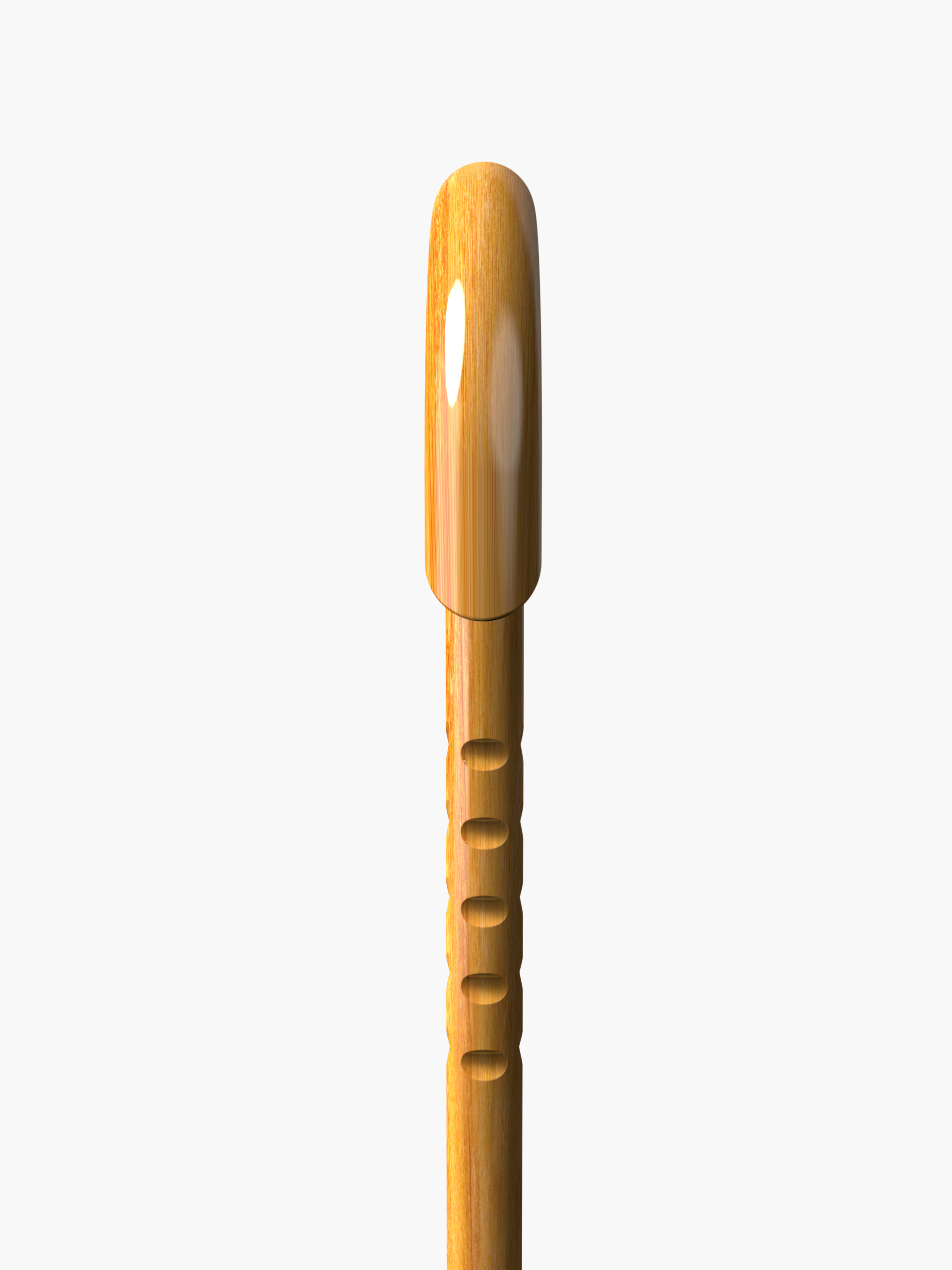 Shepherd’s Walking Stick
