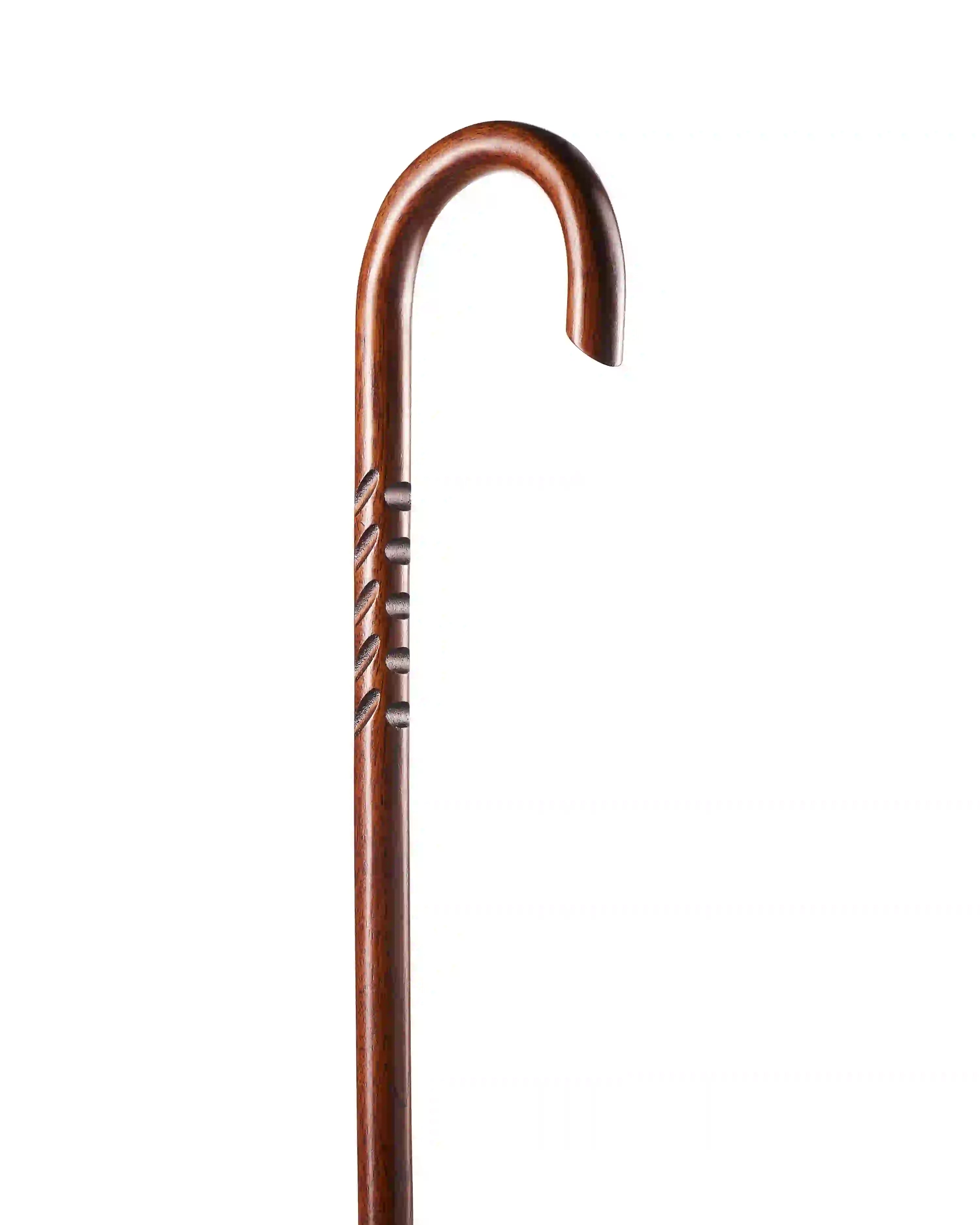 Every Day Walking Cane