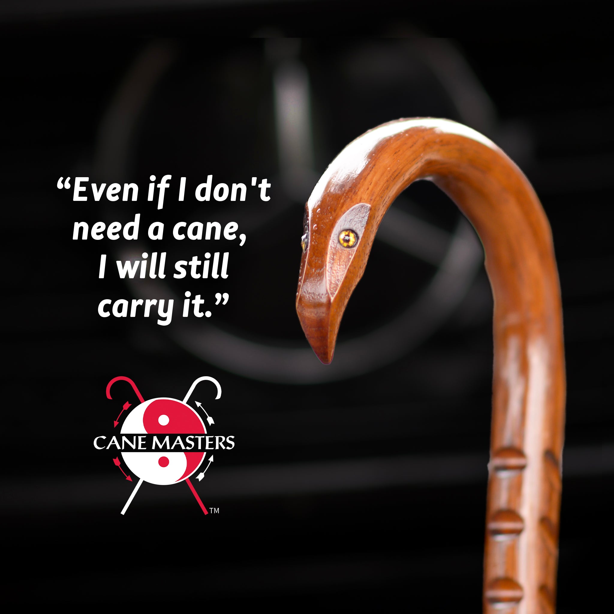 Your Journey, Your Style with Cane Master