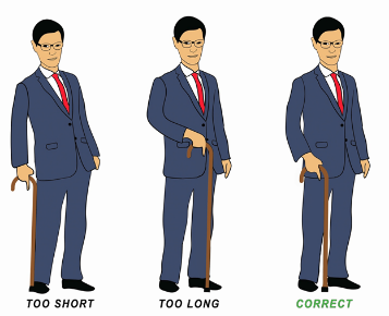 How to Properly Measure and Size Your Cane – The Cane Masters