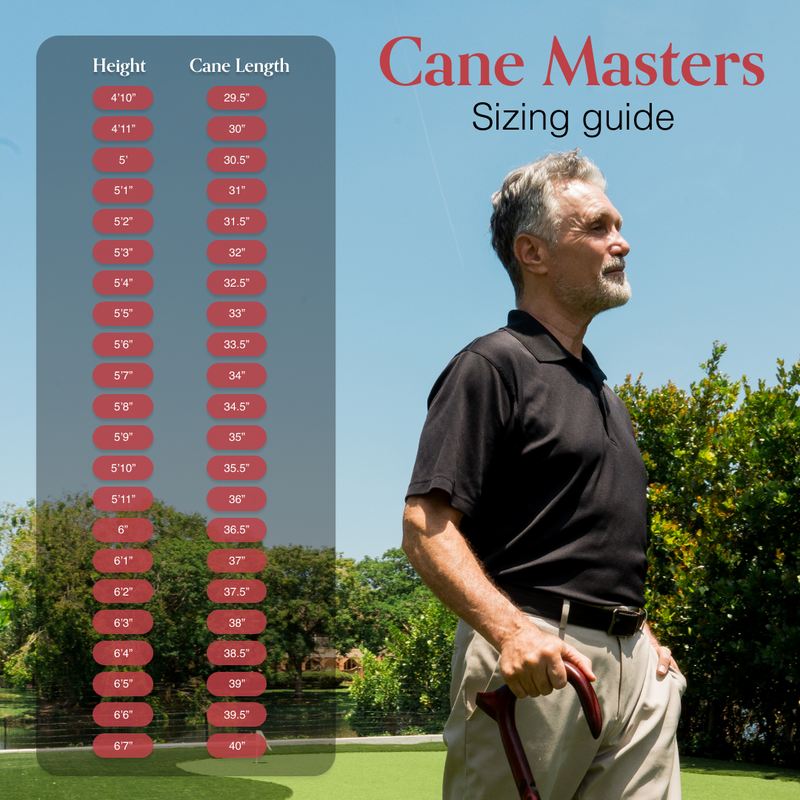 Every Day Walking Cane Plus