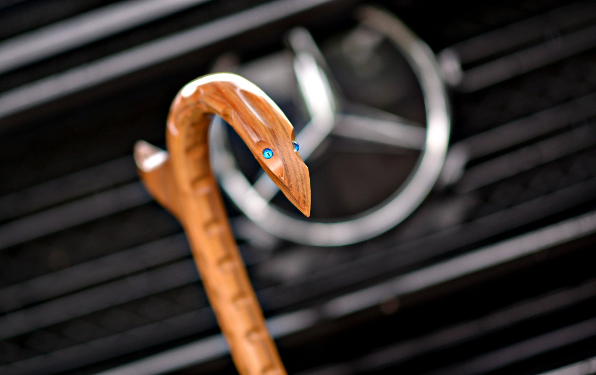 Canemaster Hawk Cane Masters : Custom Wood Tactical Canes & Walking Sticks – The Cane ...