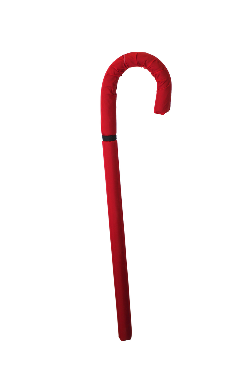 Padded Training Cane - Red