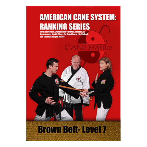 American Cane System Level 7 from CaneMasters.com