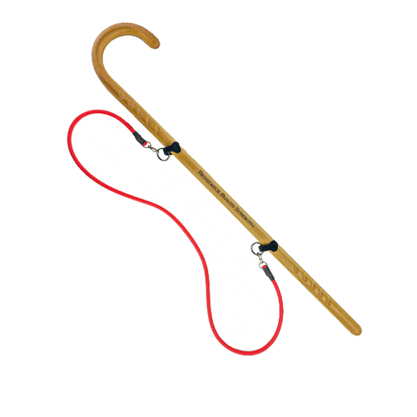 CRX Training Resistance Cane System - Cane Systems - Cane Masters