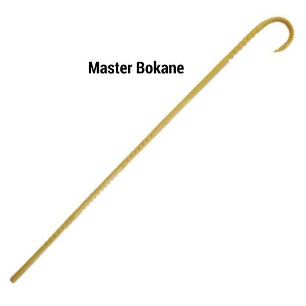 Master Bokane Walking Stick - Tactical Cane - Cane Masters